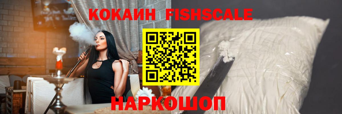 Выборг  Cocaine Fish Scale  Вход с VPN 