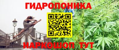 прущие грибы Мариинск
