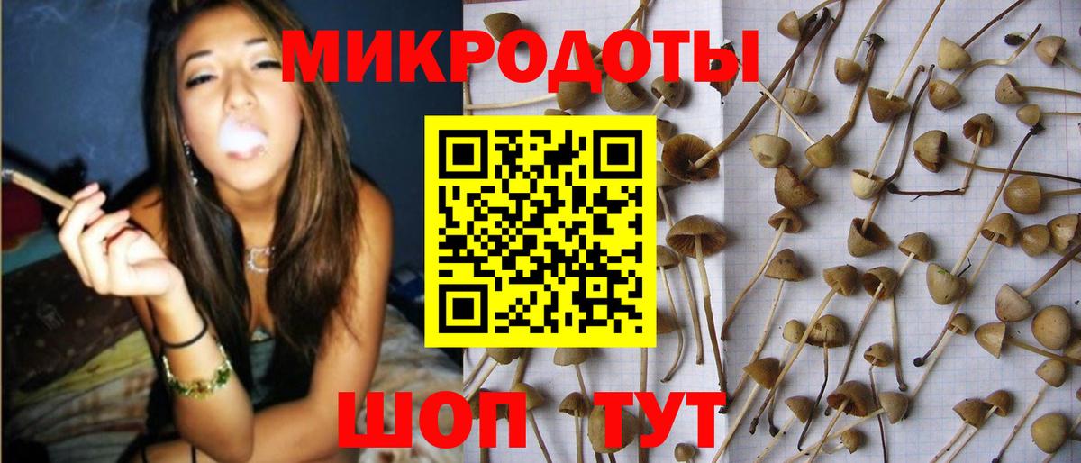 Галлюциногенные грибы GOLDEN TEACHER  Вход с VPN  Выборг 